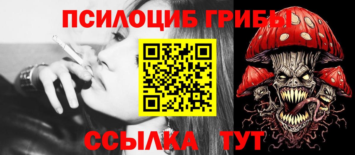 Псилоцибиновые грибы Psilocybine cubensis  Вход с VPN  Верхний Уфалей 